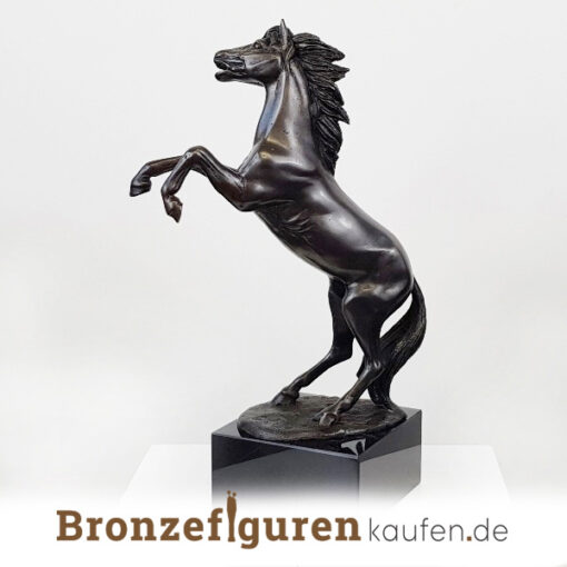 Bronzefigur einzes Aufzuchtpferdes