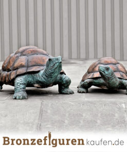 Schildkröten figur