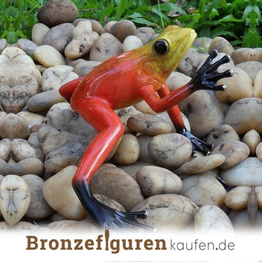 Regenwaldfrosch aus Bronze