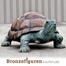 Schildkröte aus bronze