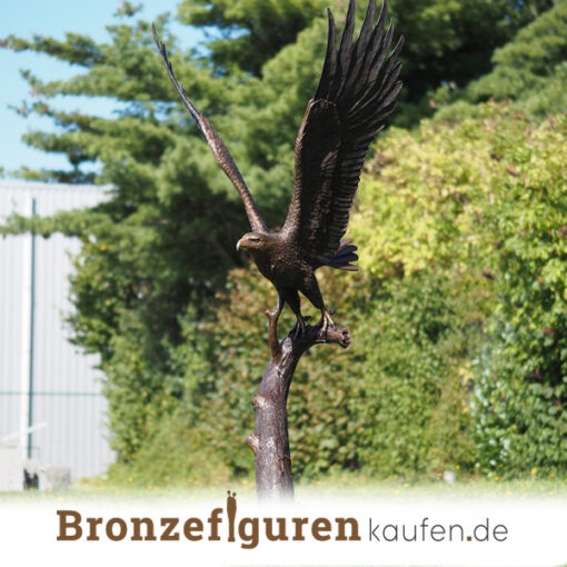 Adler aus Bronze