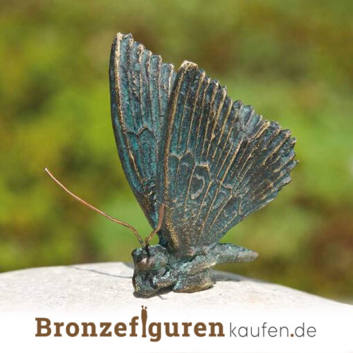 Deko Schmetterlinge aus bronze
