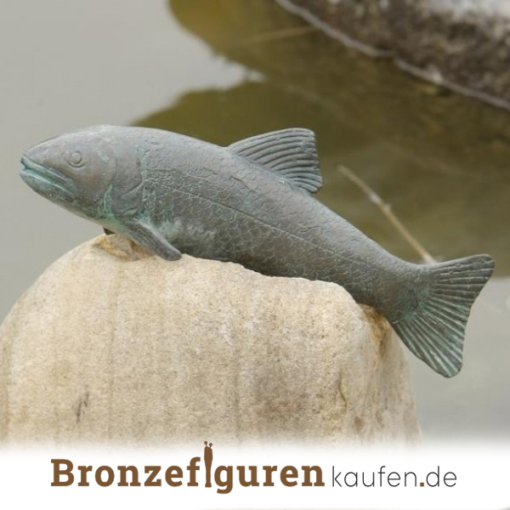 Skulptur Forellenfisch in Bronze