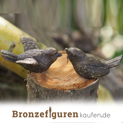 Vögeln aus Bronze